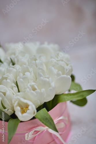 beautiful bouquet of white tulips in a pink box on a blurred background