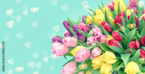 Tulip Flowers hearts turquoise background toned