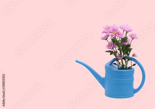 Fototapeta Naklejka Na Ścianę i Meble -  Chrysanthemum in a watering can.