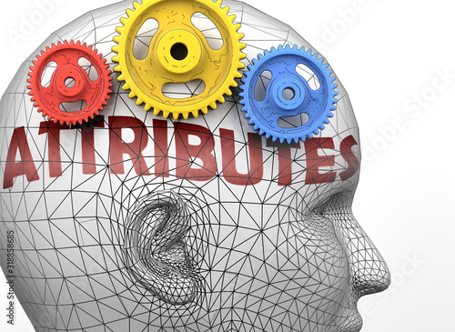 Attributes and human mind - pictured as word Attributes inside a head to symbolize relation between Attributes and the human psyche, 3d illustration photo