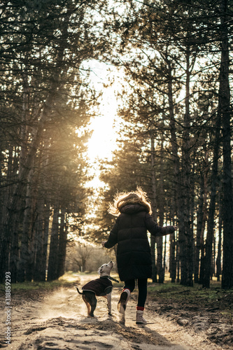 Girl with Staffordshire Terrier Puppy plays in the forest. Autumn forest. HAppy holiday. Active lifestyle. Best friends forever.