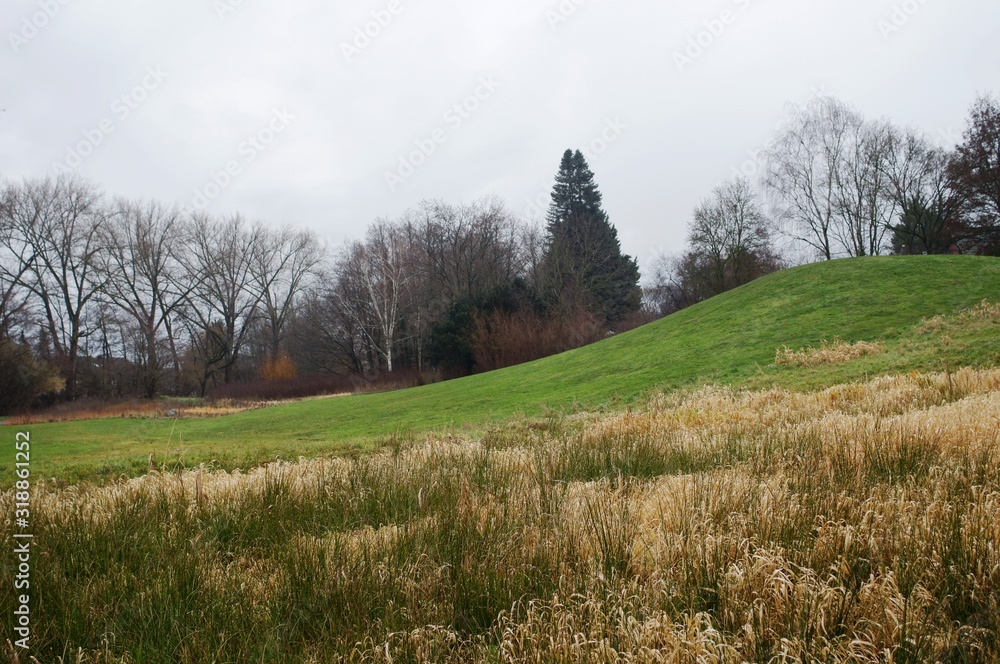 rural landscape with green field and trees in Bielefeld rural landscape with green field and trees in Bielefeld