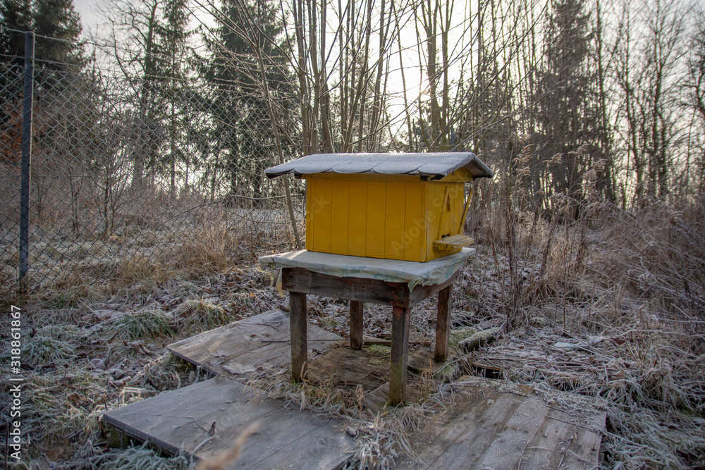 January on an apiary, Frozen yellow beehive with bees. January on an apiary, Frozen yellow beehive with bees.