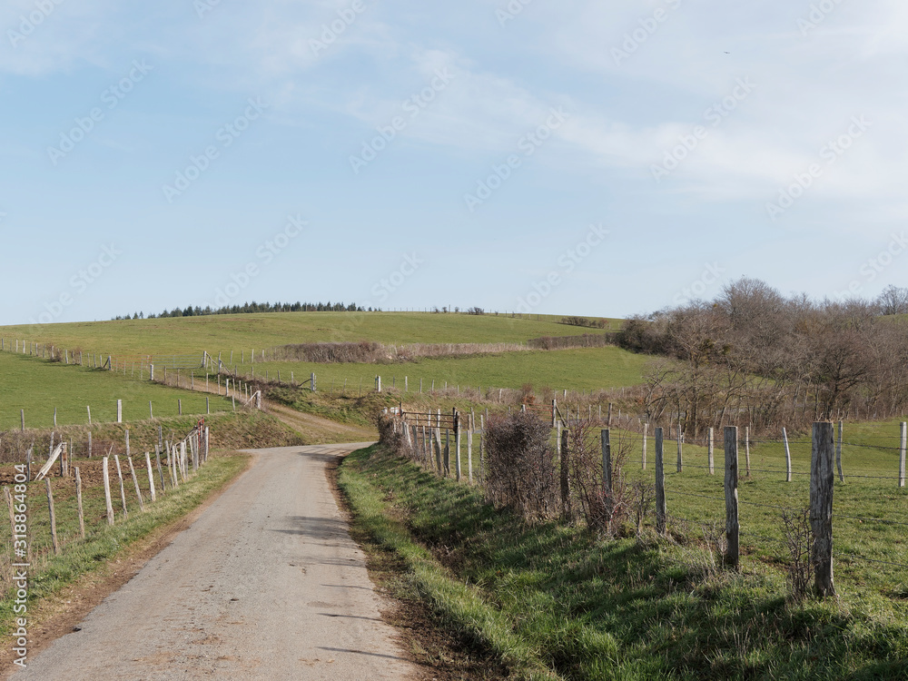 Paysages d'Auvergne. Entre limagne en l'Allier et collines, bocages et plaines du Puy-de-Dôme. Route D207 entre Chaptuzat, Chantemerle, Saint-Angoulin, Saint-Quintin-sur-Sioule et Ebreuil