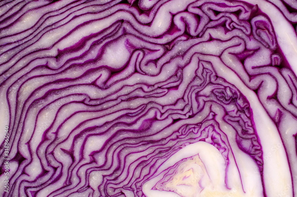 Cut red cabbage close-up. Cut red cabbage close-up.
