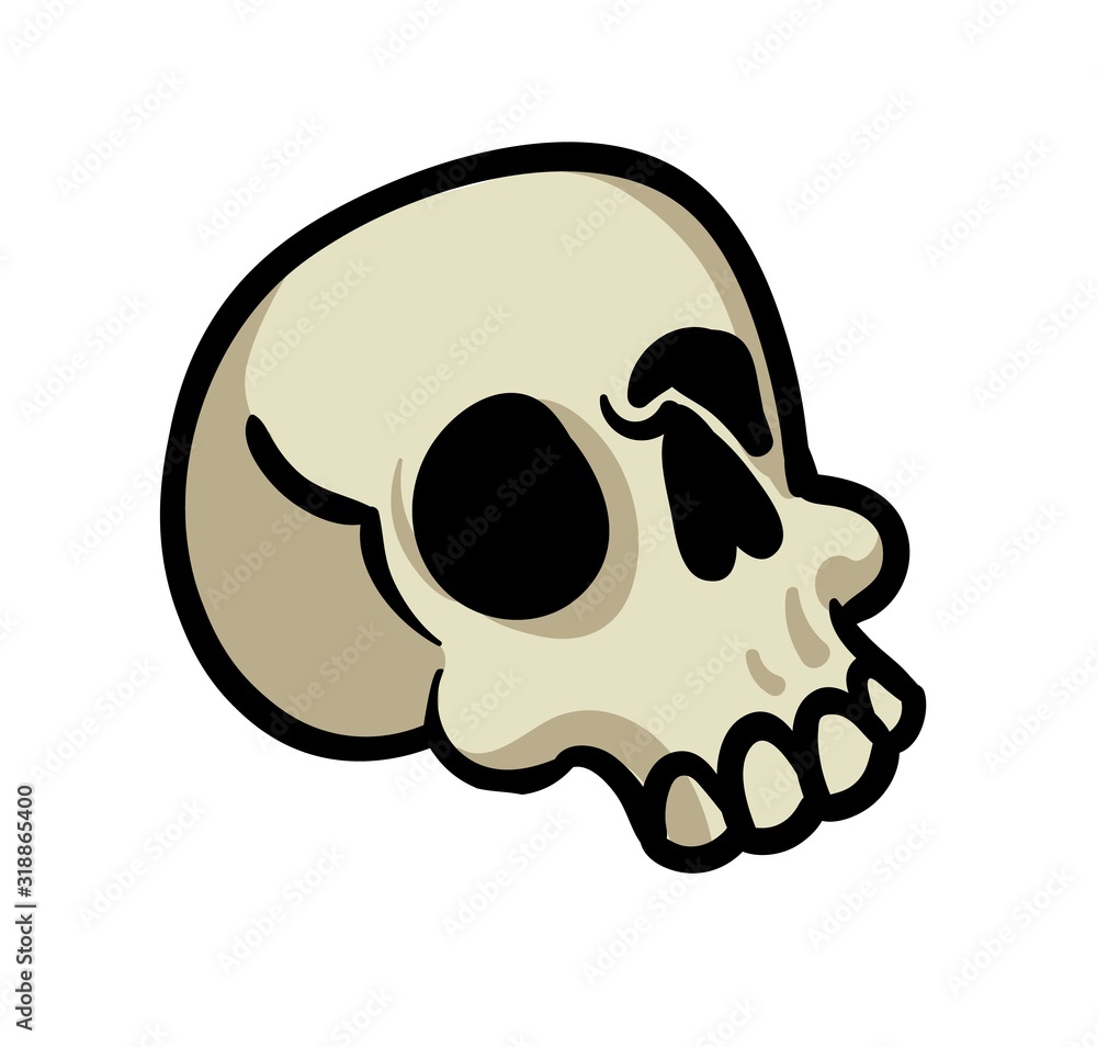 Cartoon human skull. Flat vector illustration, isolated on white background. Cartoon human skull. Flat vector illustration, isolated on white background.
