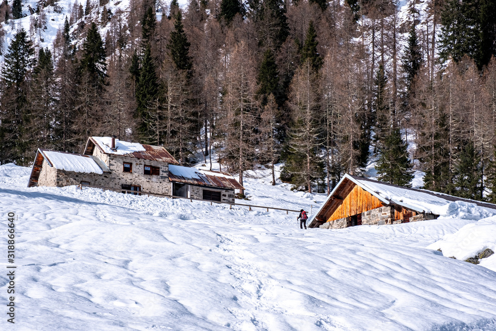 Trentino, panorama dolomitico nel Primiero