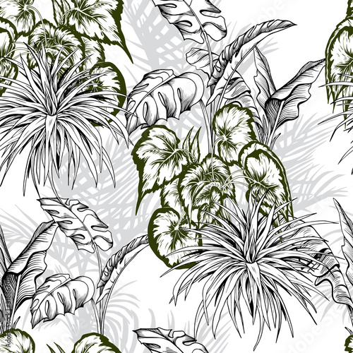 Seamless pattern with tropical plants, palm trees and monstera leaves.