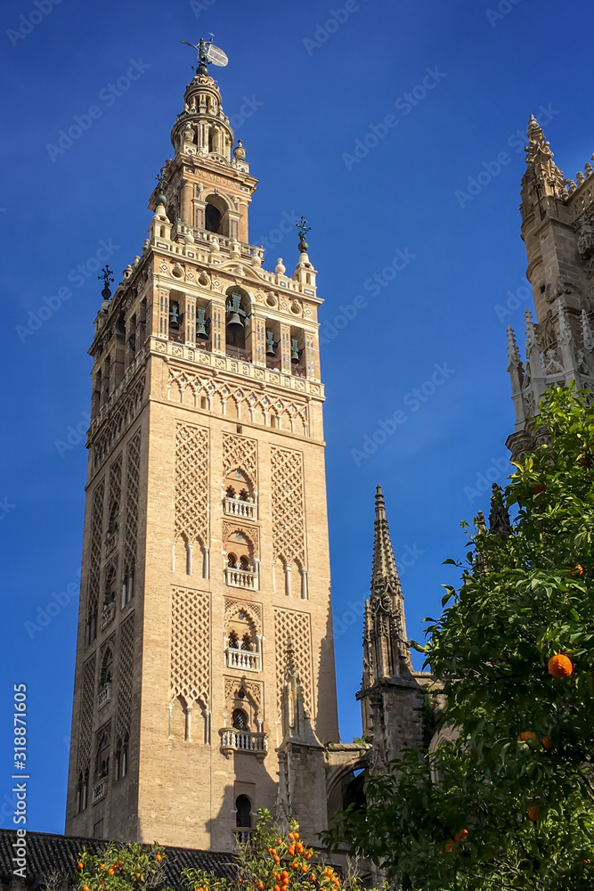 The Giralda, Bell tower of the cathedral of Seville, Andalusia, Spain