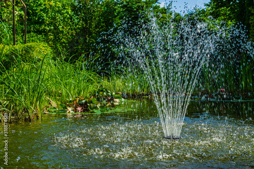 Cascading fountain on emerald surface of pond in old shady garden. Along rocky shores of pond  aquatic plants grow. On surface are flowers and leaves of water lilies. Freshness and cool on sunny day.