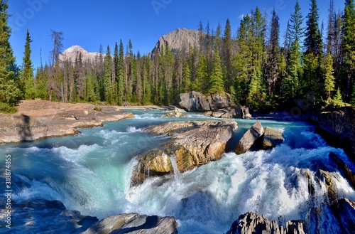 Wild river falls into the rocky riverbed in Yoho National Park, Rocky Mountains, Canada. Beautiful sunny day, trees, high mountains. photo