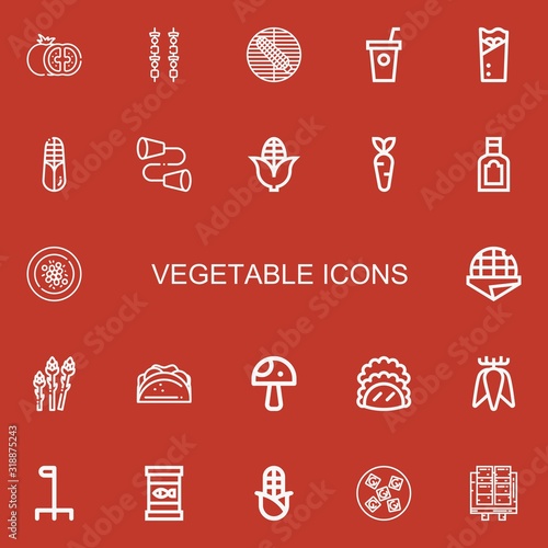 Editable 22 vegetable icons for web and mobile