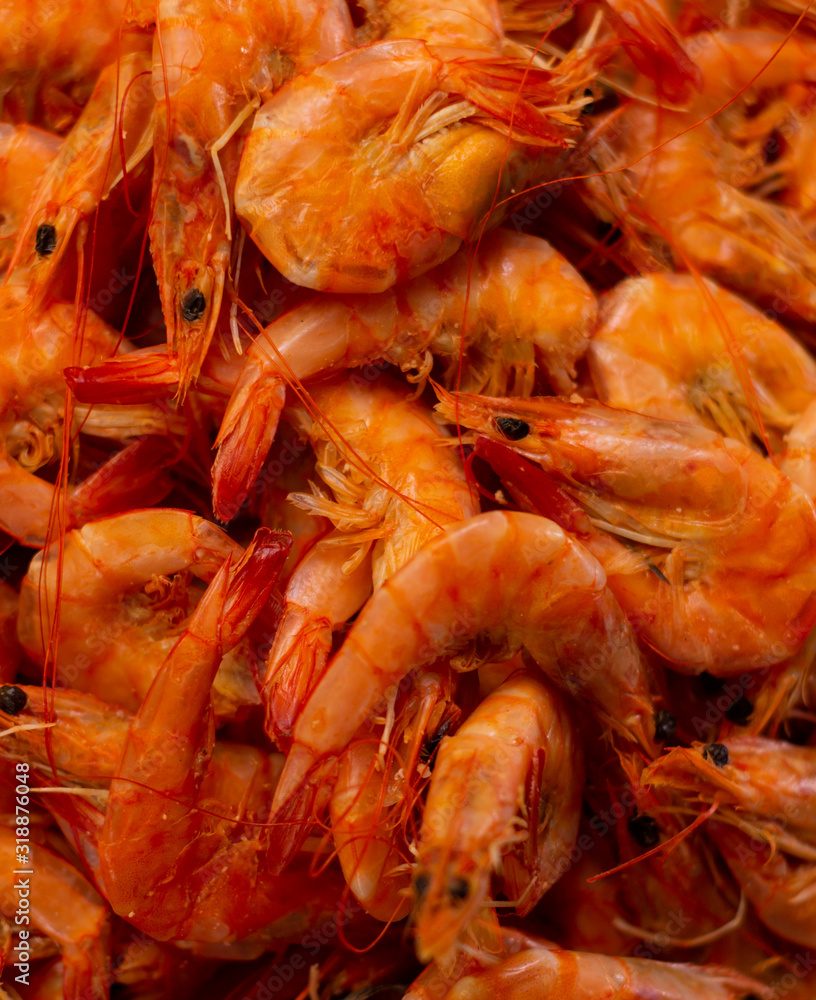 Freshly cooked fresh shrimp. Animal food of marine origin. Freshly cooked fresh shrimp. Animal food of marine origin.