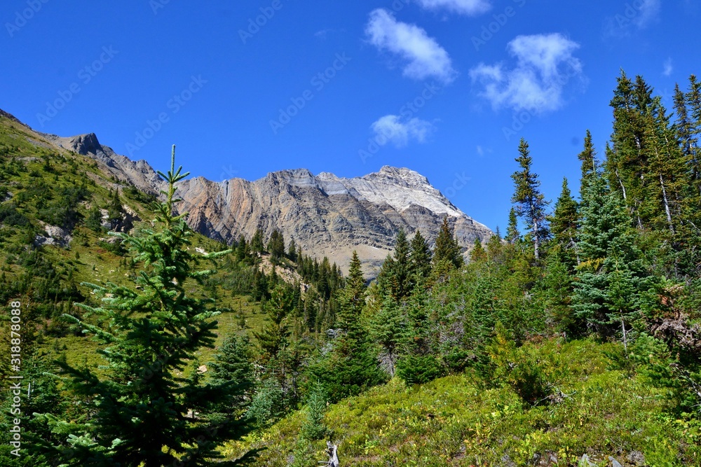 Beautiful rocky mountain with trees and meadows. Sunny day, blue sky, white clouds. Yoho national Park, Rocky Mountains, Canada.
