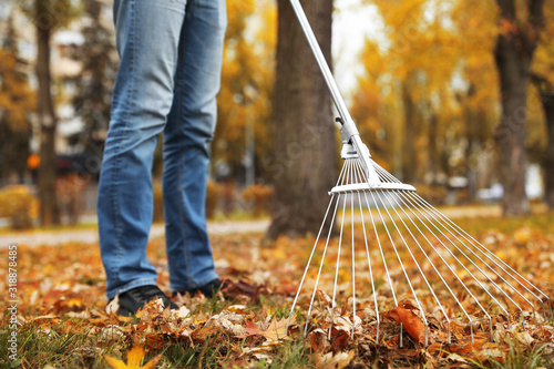 Person raking dry leaves outdoors on autumn day, closeup