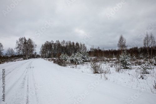 winter landscape with road and trees © Jena Kli