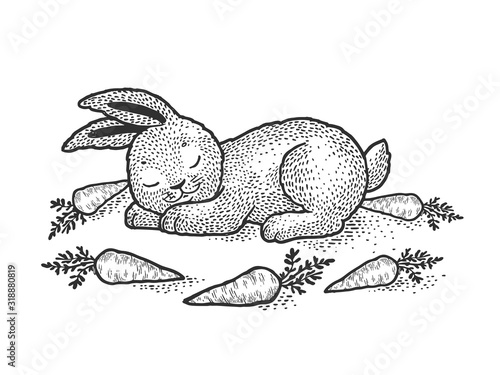 Cartoon sleeping bunny rabbit sketch engraving vector illustration. T-shirt apparel print design. Scratch board imitation. Black and white hand drawn image.
