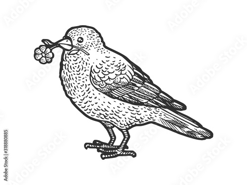Canary bird with camomile daisy flower in beak sketch engraving vector illustration. T-shirt apparel print design. Scratch board imitation. Black and white hand drawn image.