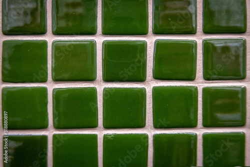 Green ceramic mosaic on the...