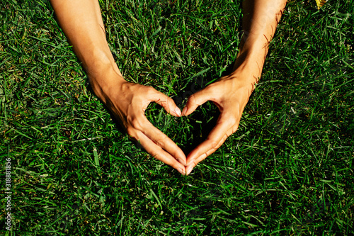 Hands in the grass in the form of heart.hands holding green heart shaped grass/ green baby plants arranged in a heart shape / love nature / save the world / heal the world / environmental preservation #318881856