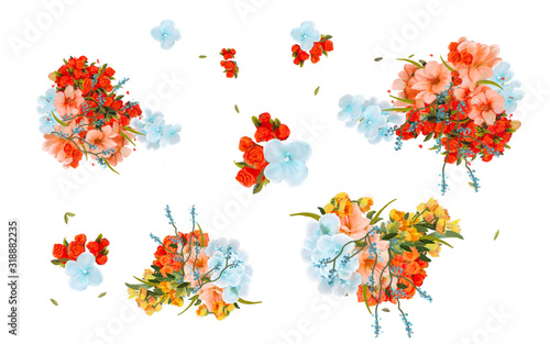 Drawn summer flowers on a white background
