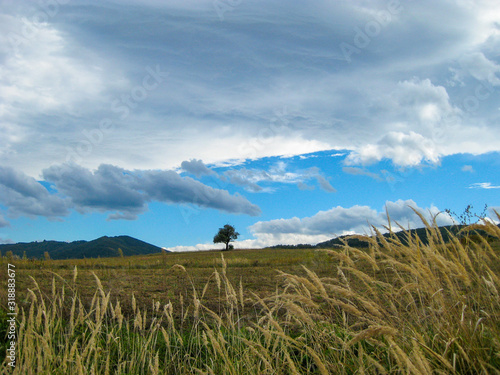 September Bulgarian Fore-Balkan rural landscape with beautiful dramatic sky. Lonely tree in the background