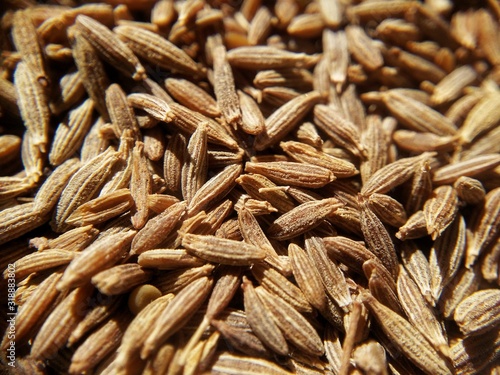 closeup of cumin seeds