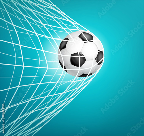 Soccer ball into the net. Goal