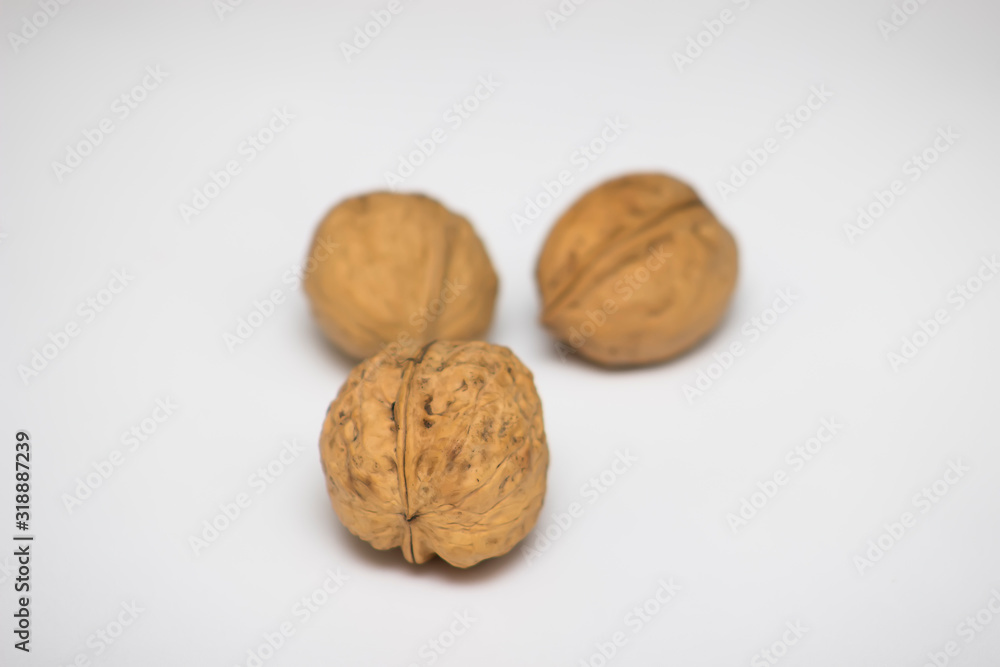 Walnuts close up on a white background. Free space for text Walnuts close up on a white background. Free space for text