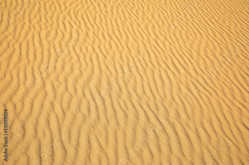 Fine sand texture - Sandy sunny beach for background - Top view - Full frame shot - Close-up sun sand texture on beach in summer – desert dune golden yellow - travel holiday vacation Close up