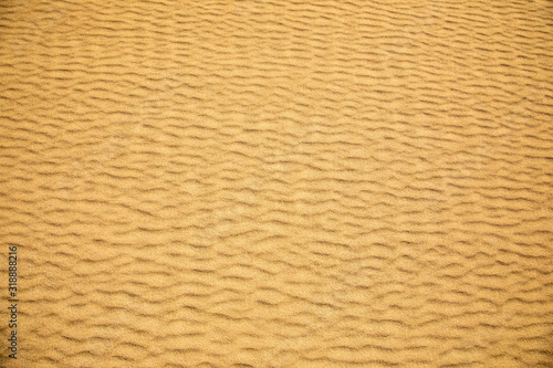 Fine sand texture - Sandy sunny beach for background - Top view - Full frame shot - Close-up sun sand texture on beach in summer – desert dune golden yellow - travel holiday vacation Close up