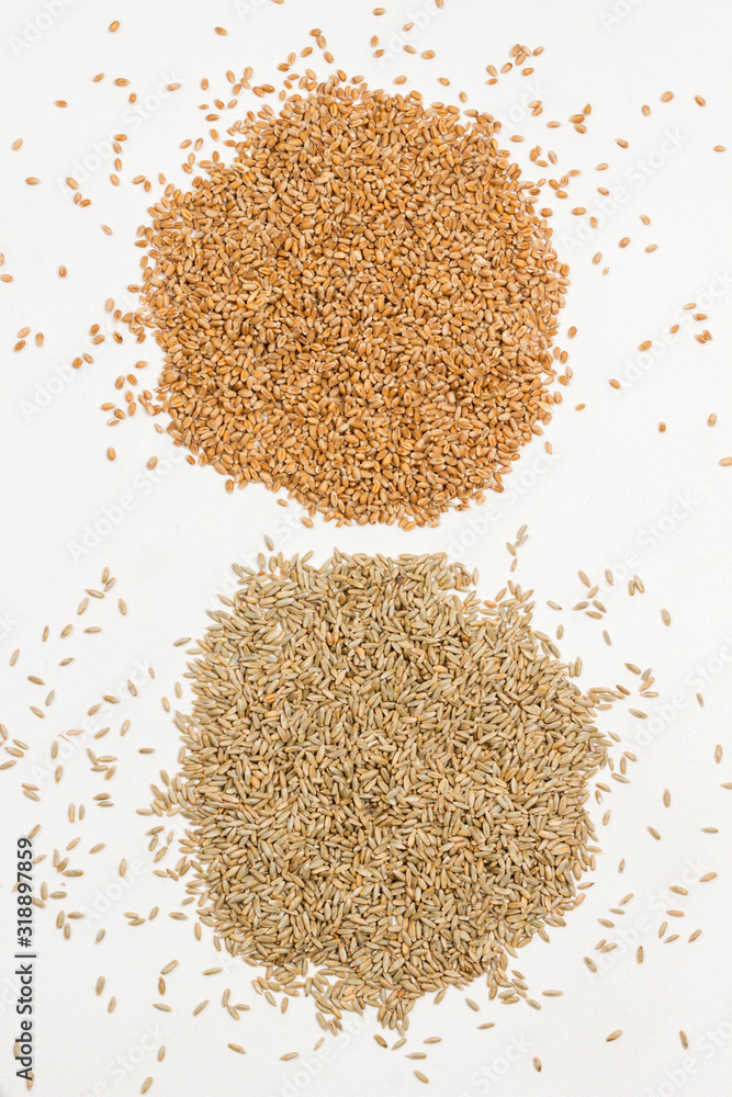 Whole grains of wheat and rye on black background. Healthy carbohydrates. Dietary fiber Whole grains of wheat and rye on black background. Healthy carbohydrates. Dietary fiber