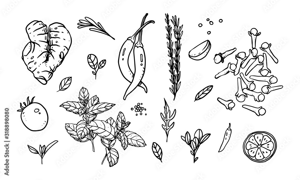 Set of vegetable, fruit & spices hand drawn vector illustration. Healthy food drawn with line art for material design Set of vegetable, fruit & spices hand drawn vector illustration. Healthy food drawn with line art for material design
