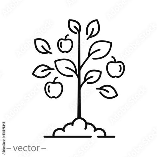 Fototapet fruit tree icon, orchard, thin line web symbol on white background - editable st