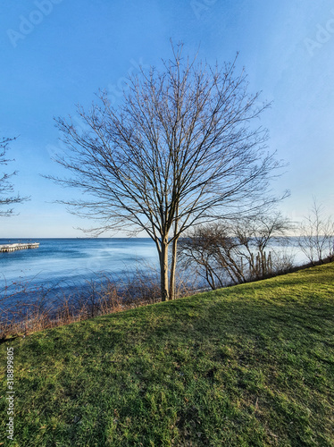 Fototapeta Naklejka Na Ścianę i Meble -  Brzeg morza. Morze Bałtyckie, Gdynia Orłowo. Polska.