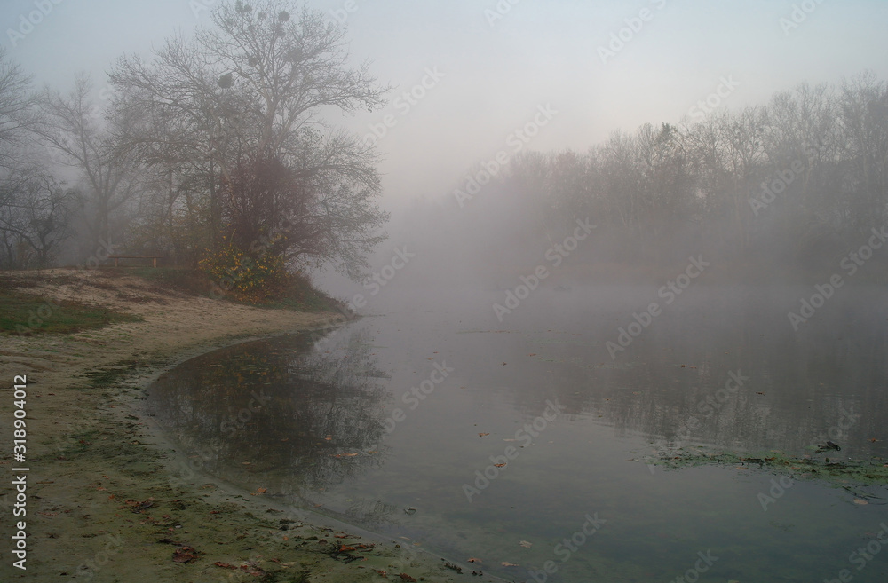River landscape and autumn wood