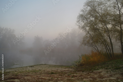 Obraz na płótnie River landscape and autumn wood w salonie