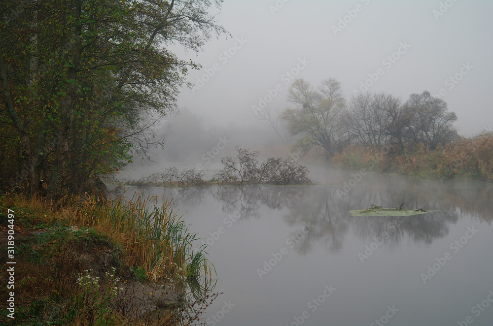 River landscape and autumn wood