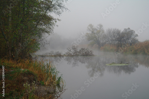 River landscape and autumn wood