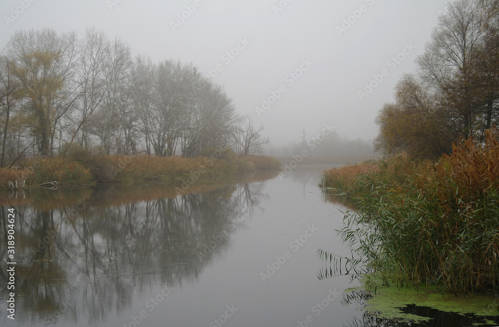 River landscape and autumn wood