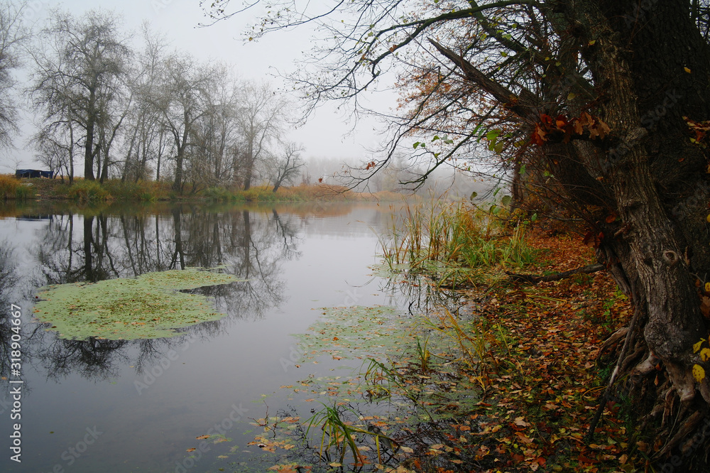 River landscape and autumn wood