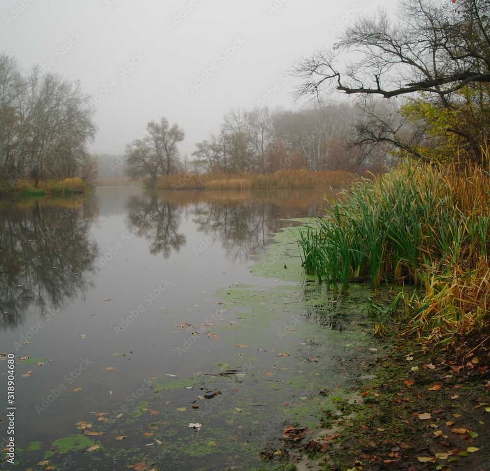 River landscape and autumn wood