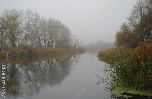 Obraz na płótnie River landscape and autumn wood w salonie