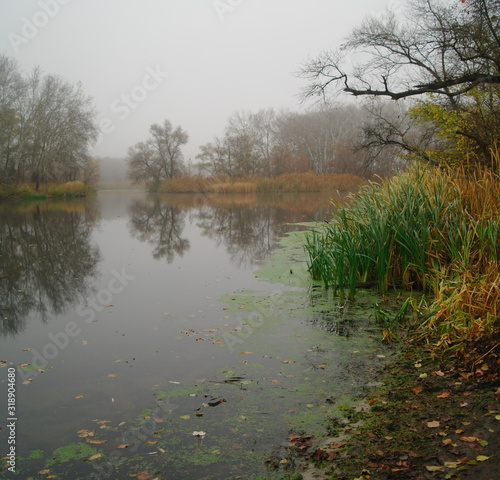 Obraz na płótnie River landscape and autumn wood w salonie
