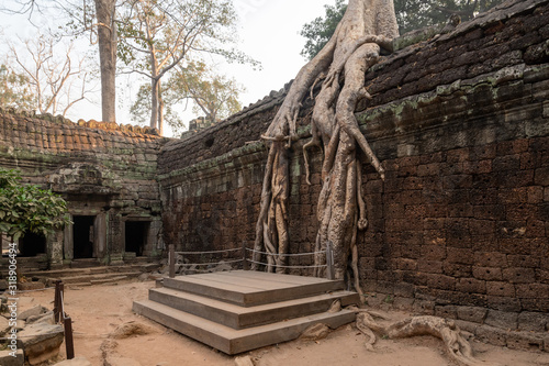 Die Tempelanlage Ta Prohm in Kambodscha