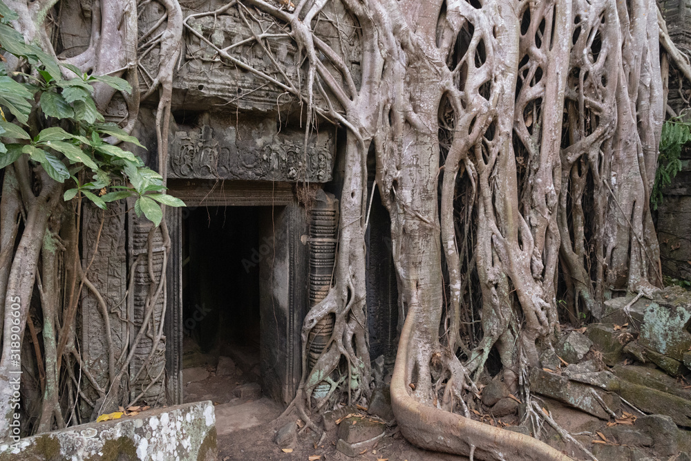 Die Tempelanlage Ta Prohm in Kambodscha Die Tempelanlage Ta Prohm in Kambodscha