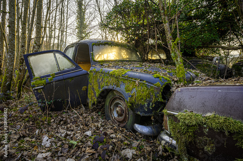 Autofriedhof - überwachsener Oldtimer