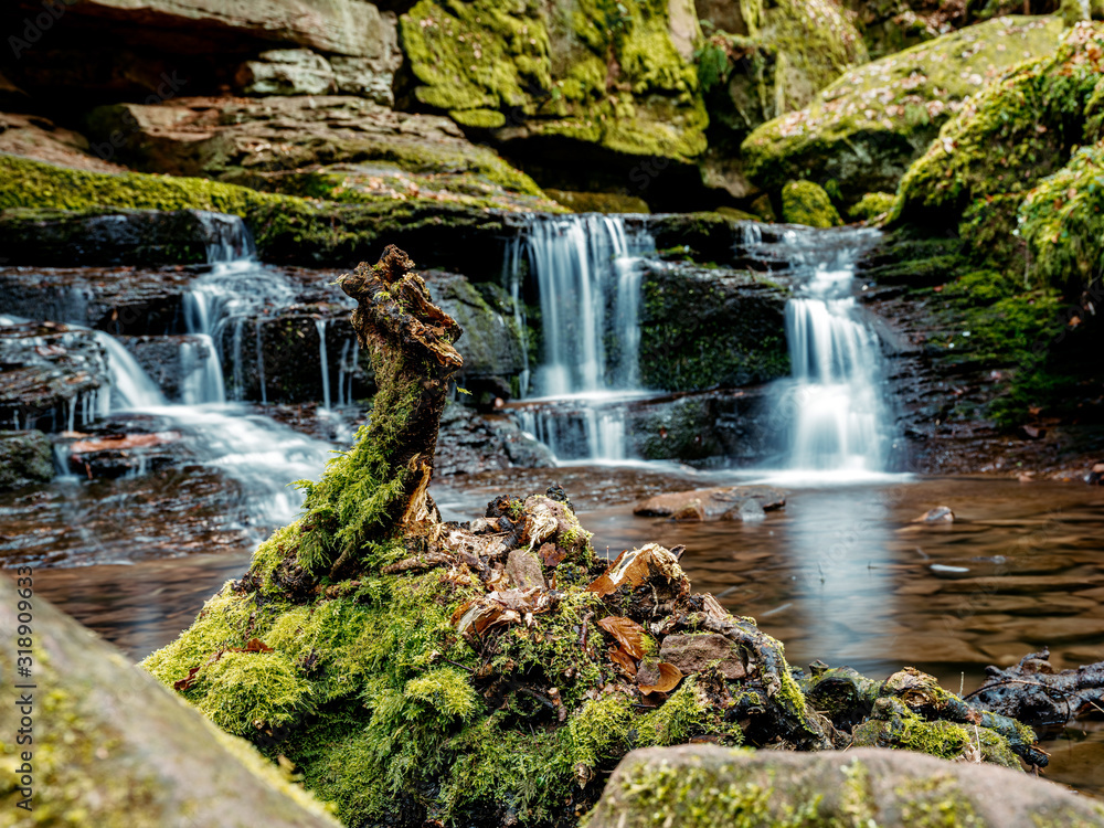 Obraz premium Die Mosbachschlucht im Schwarzwald