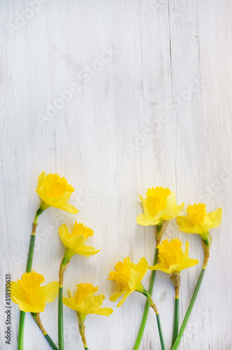 Daffodils an white wooden background, vertical photo