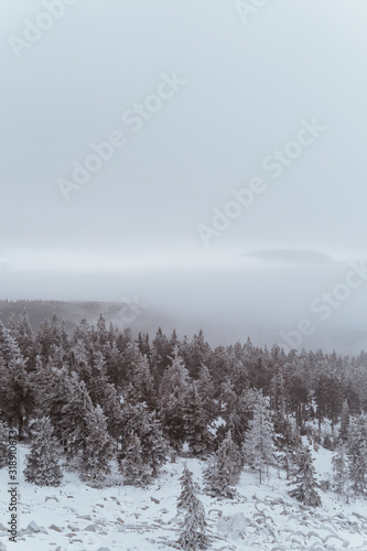 winter landscape © Matej